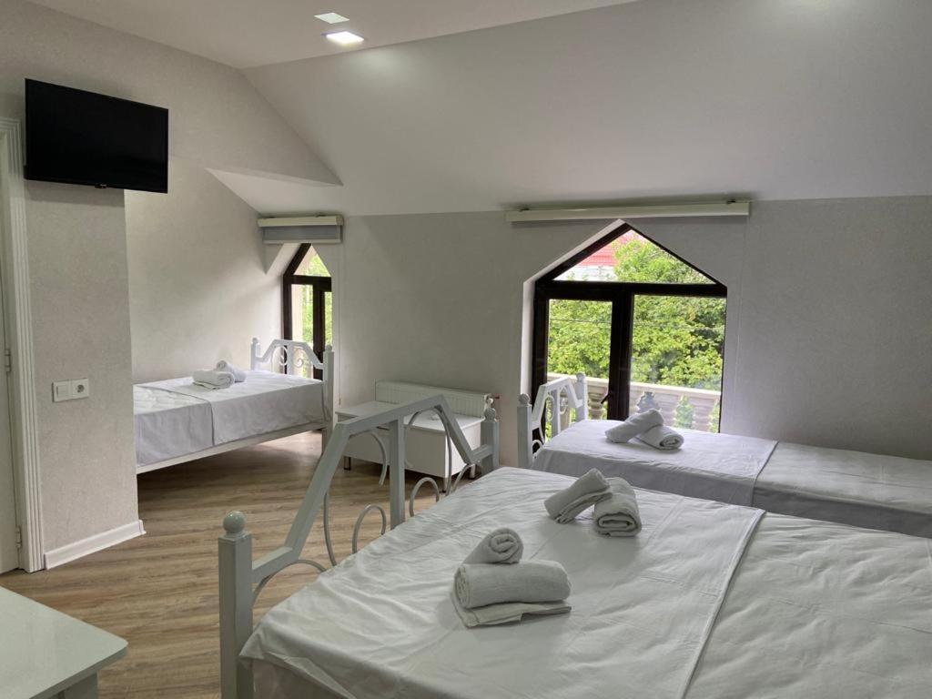 Viva Hotel Gabala With Outdoor Pool ,Sauna And Waterfall Buitenkant foto